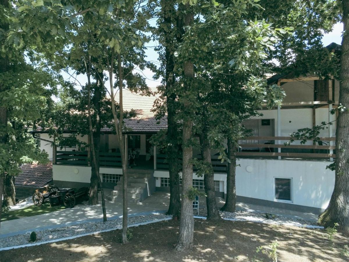 Boljevac Konak Ljubica Rtanj المظهر الخارجي الصورة